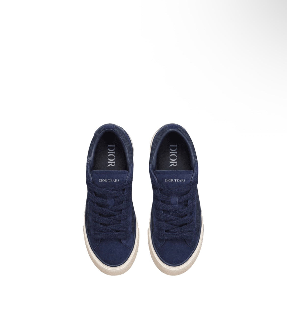 Dior B33