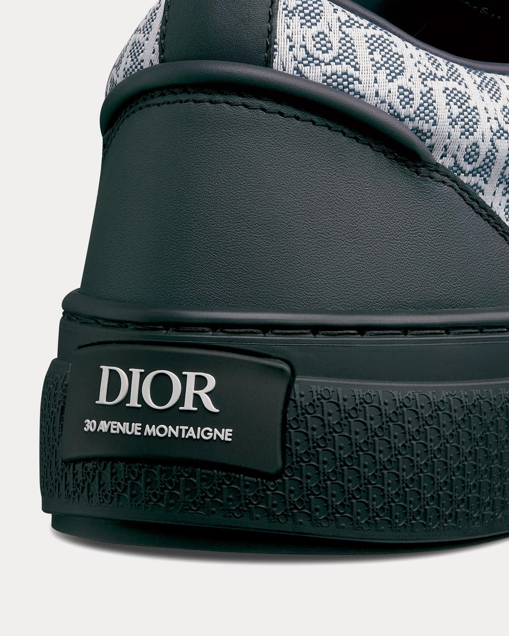Dior B33 x KAWS