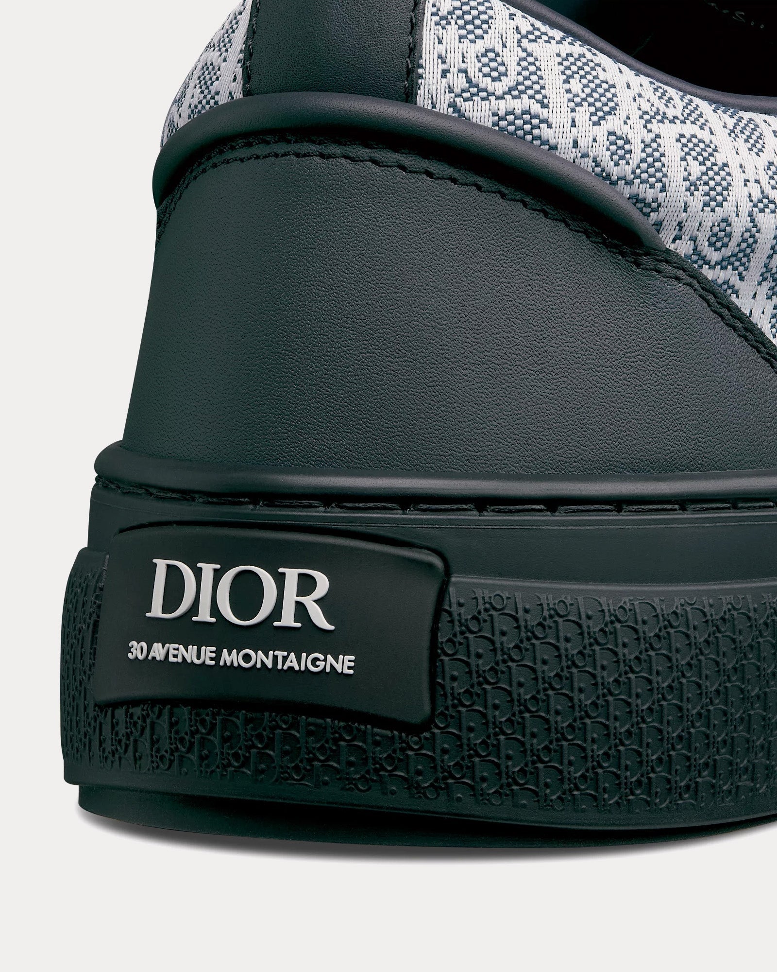 Dior B33 x KAWS