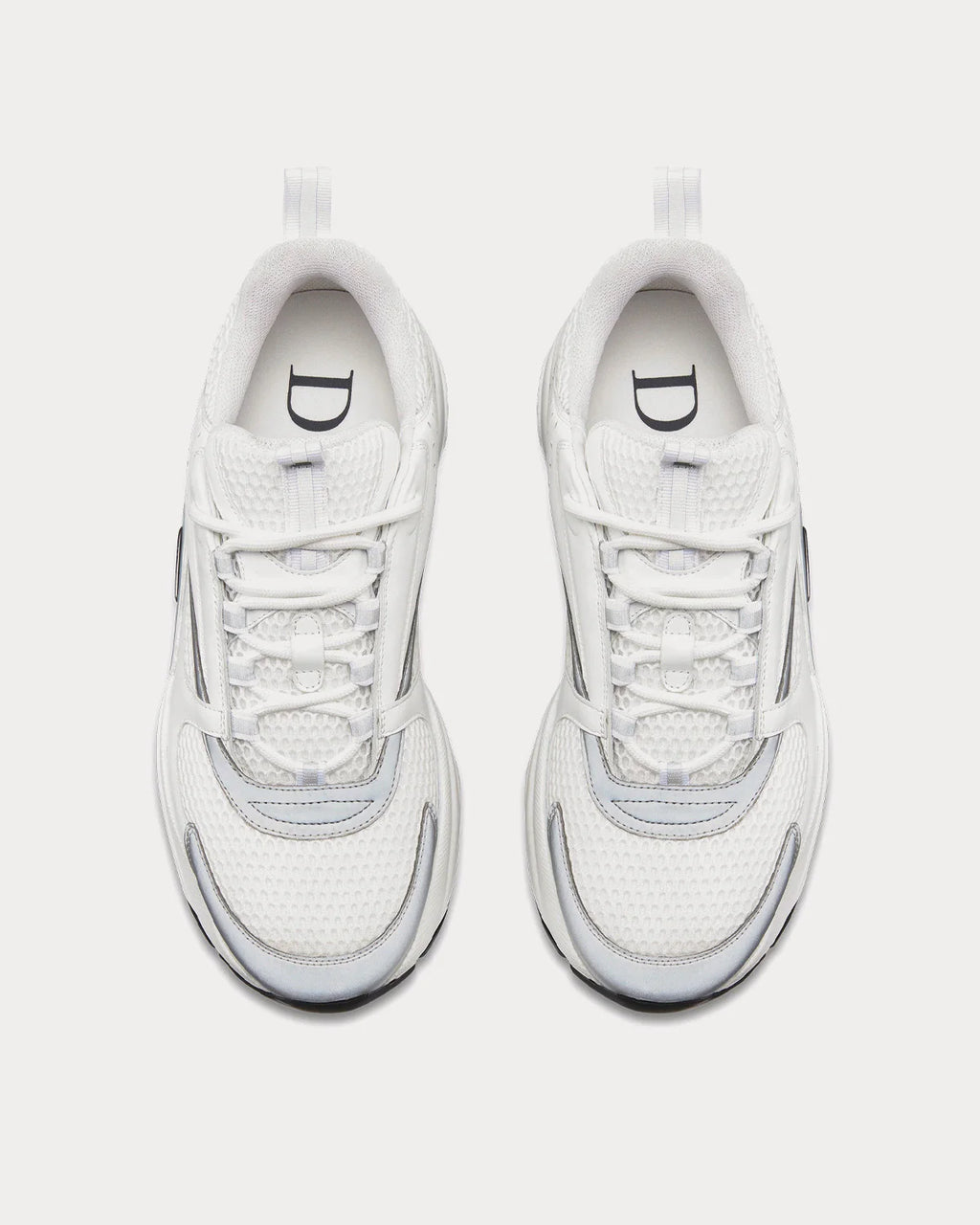 Dior B22