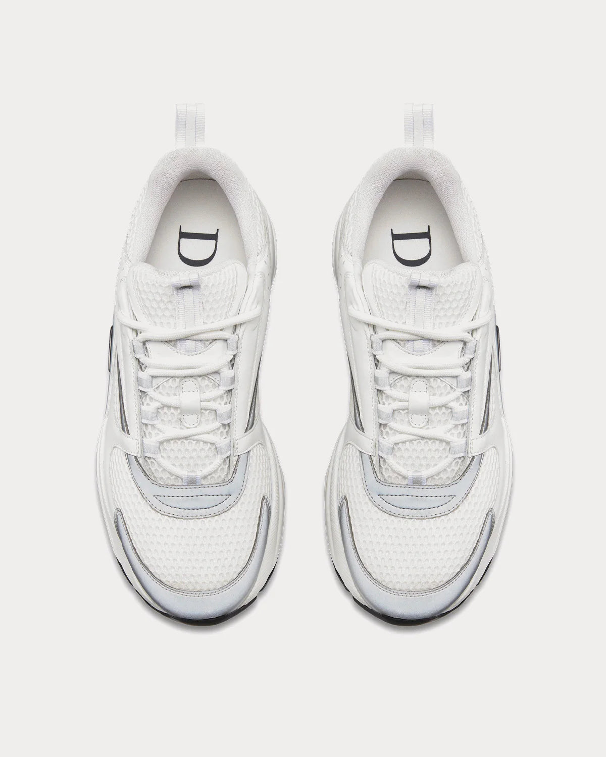 Dior B22