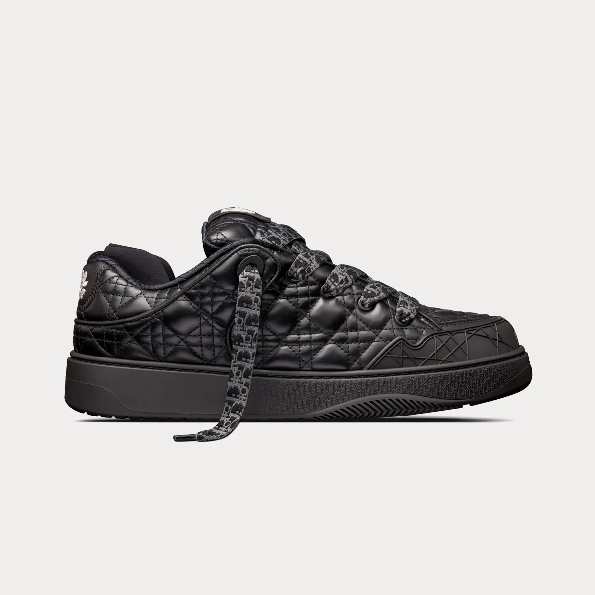 Dior B9S Skater