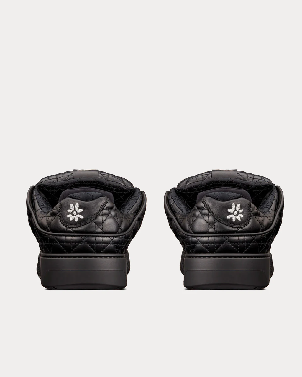 Dior B9S Skater