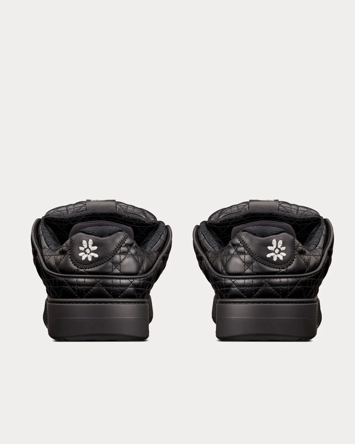 Dior B9S Skater