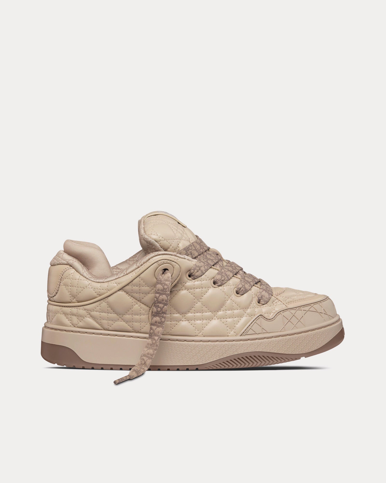 Dior B9S Skater