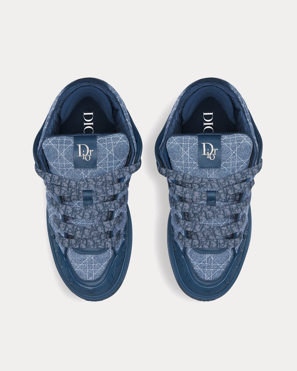 Dior B9S Skater