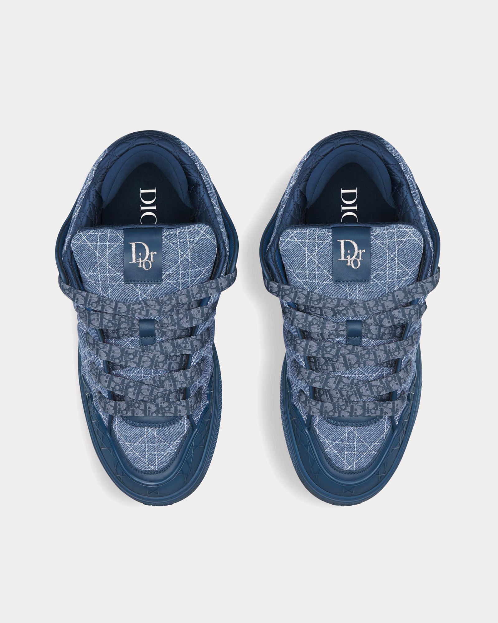 Dior B9S Skater