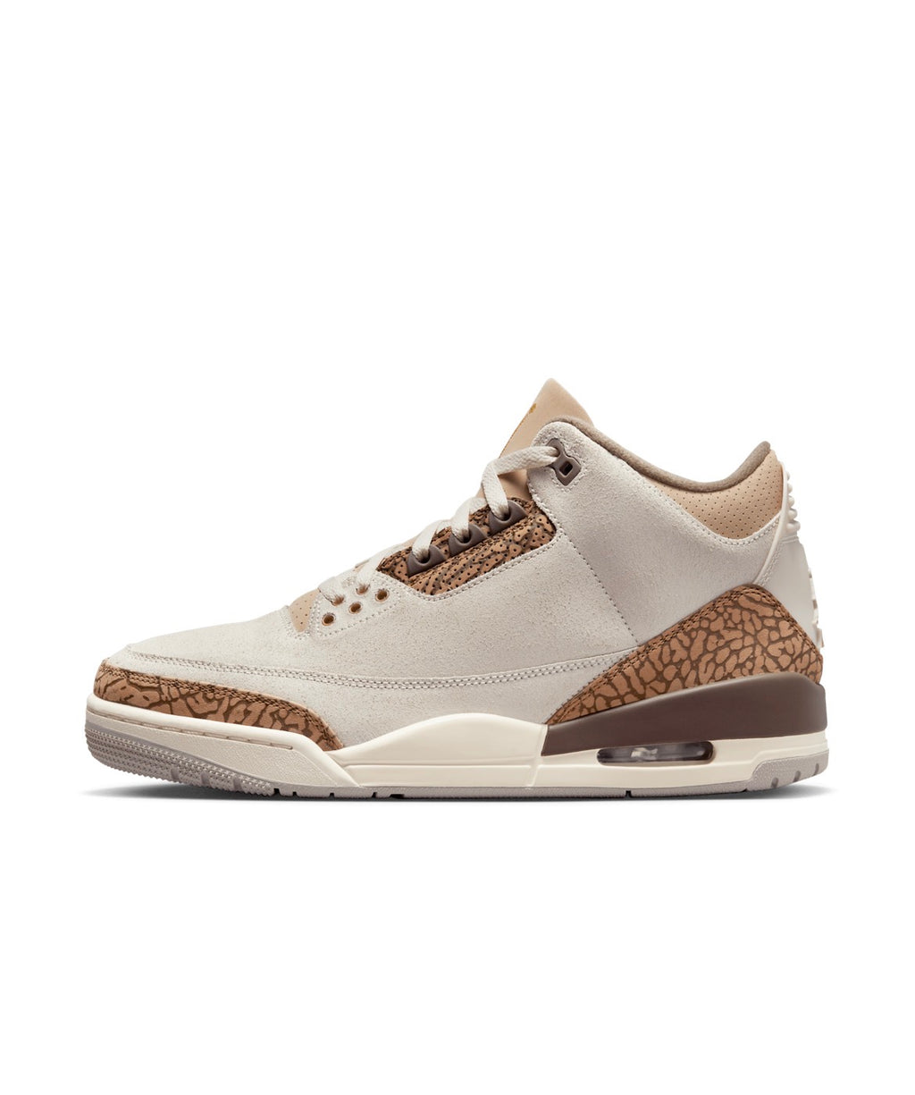 Air Jordan 3 Retro