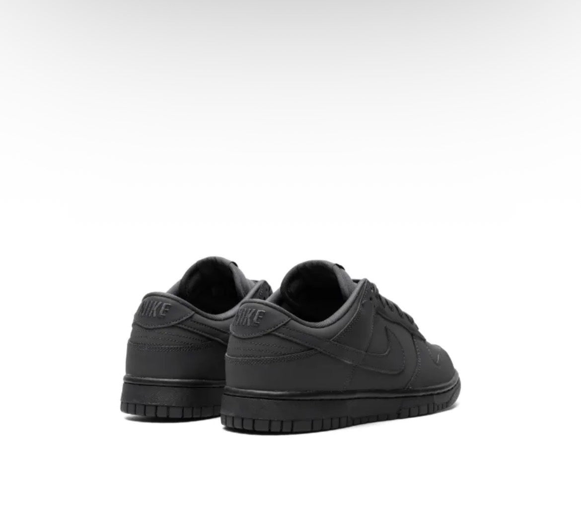 Nike Dunk Low WMNS
