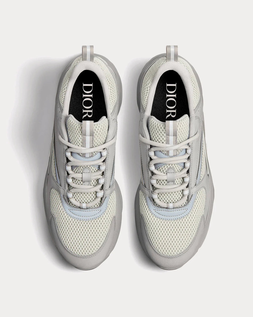 Dior B22