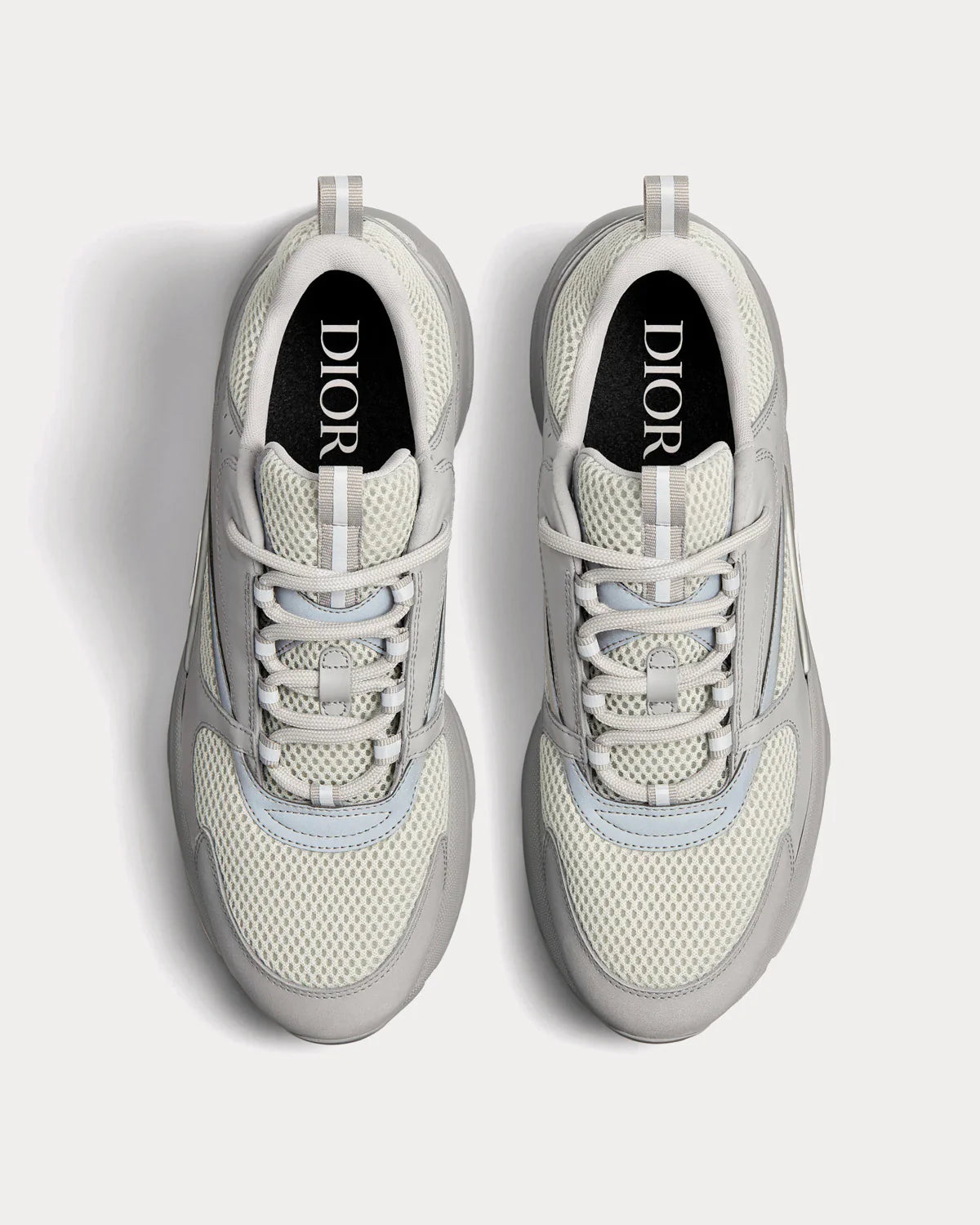 Dior B22