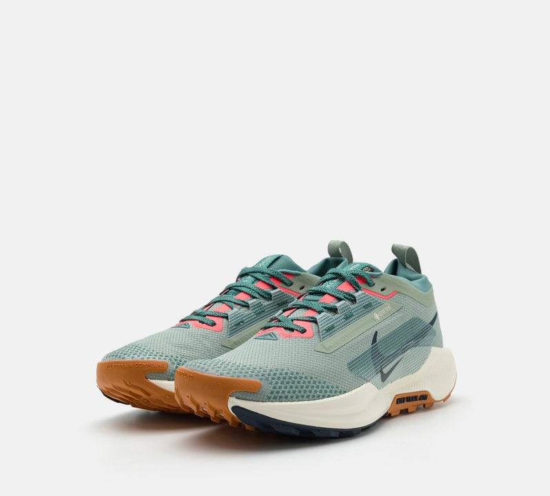 Nike Pegasus Trail 5 Gore-Tex