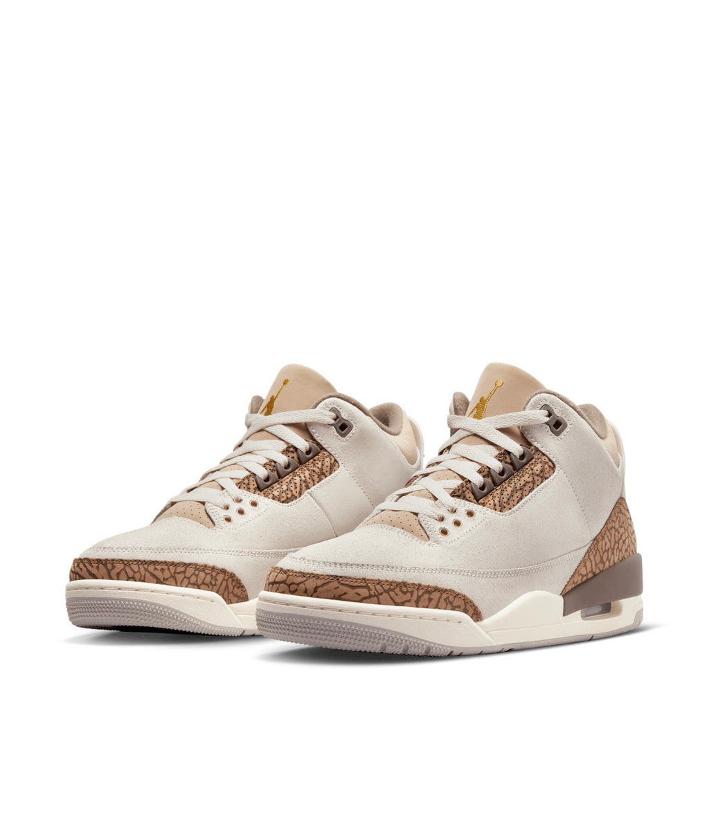 Air Jordan 3 Retro