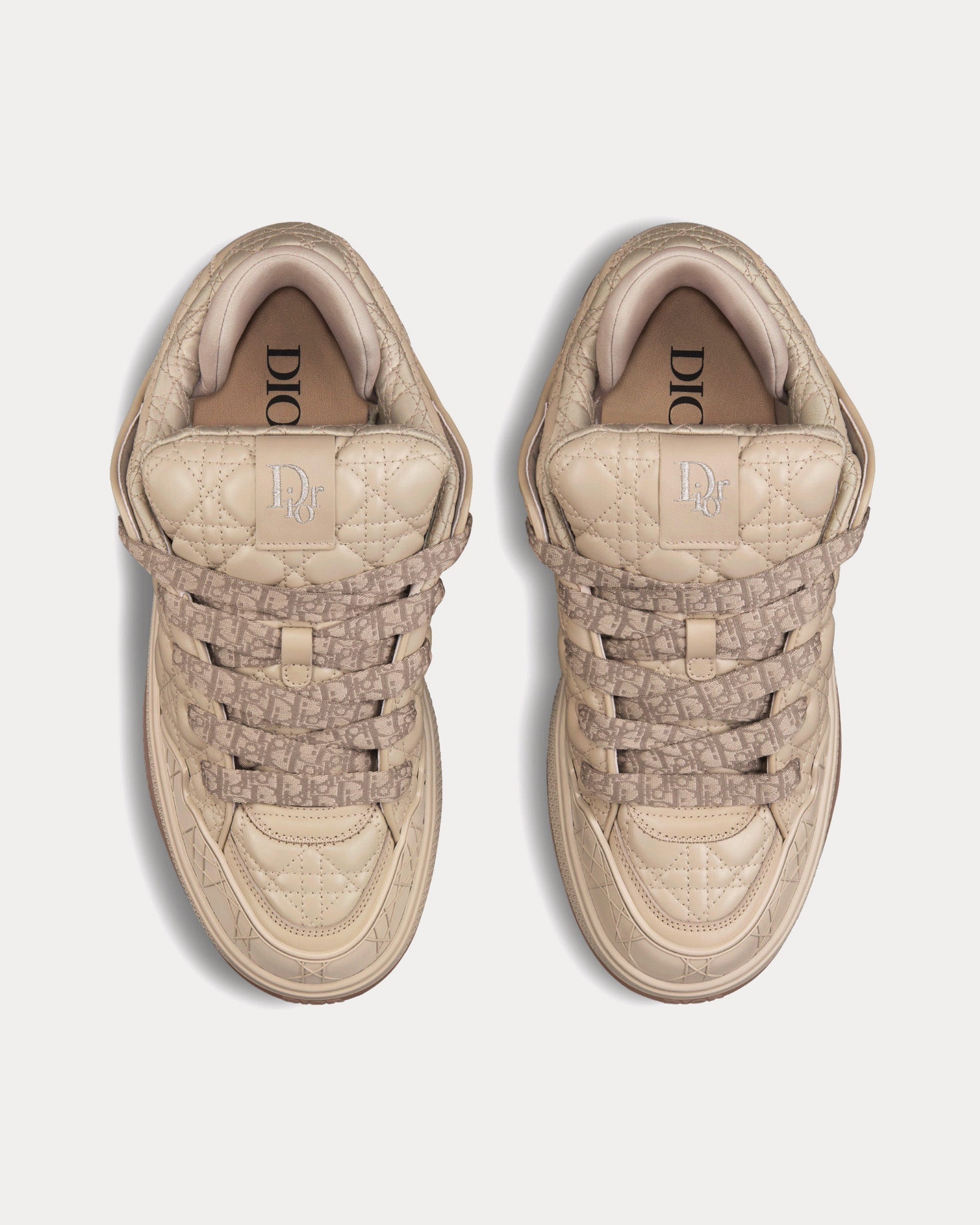Dior B9S Skater