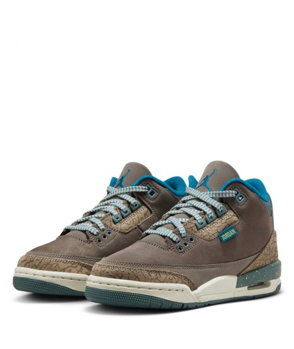 Air Jordan 3 Retro (GS) «We Outside»