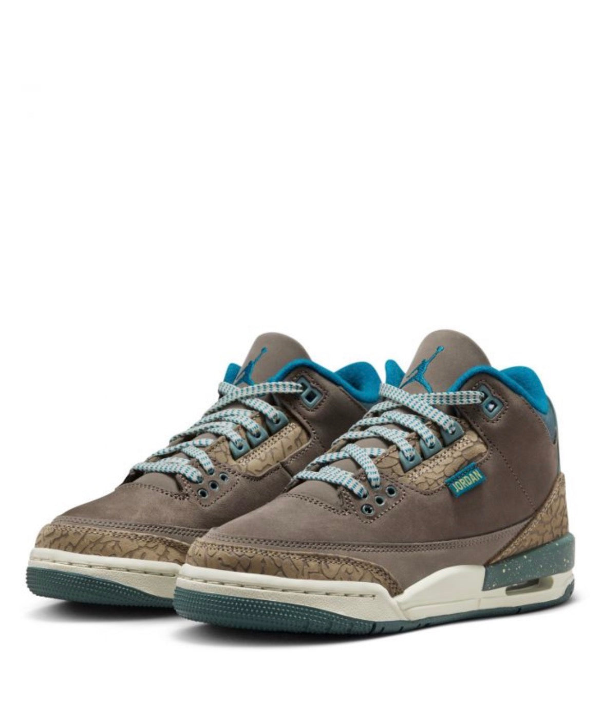 Air Jordan 3 Retro (GS) «We Outside»