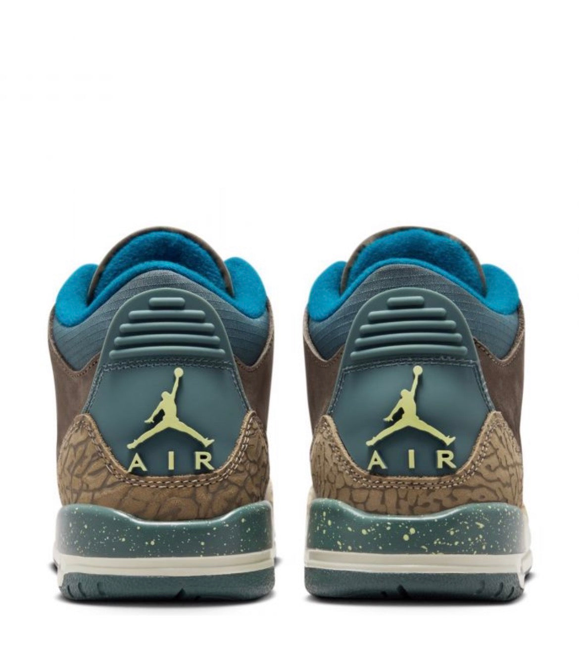 Air Jordan 3 Retro (GS) «We Outside»