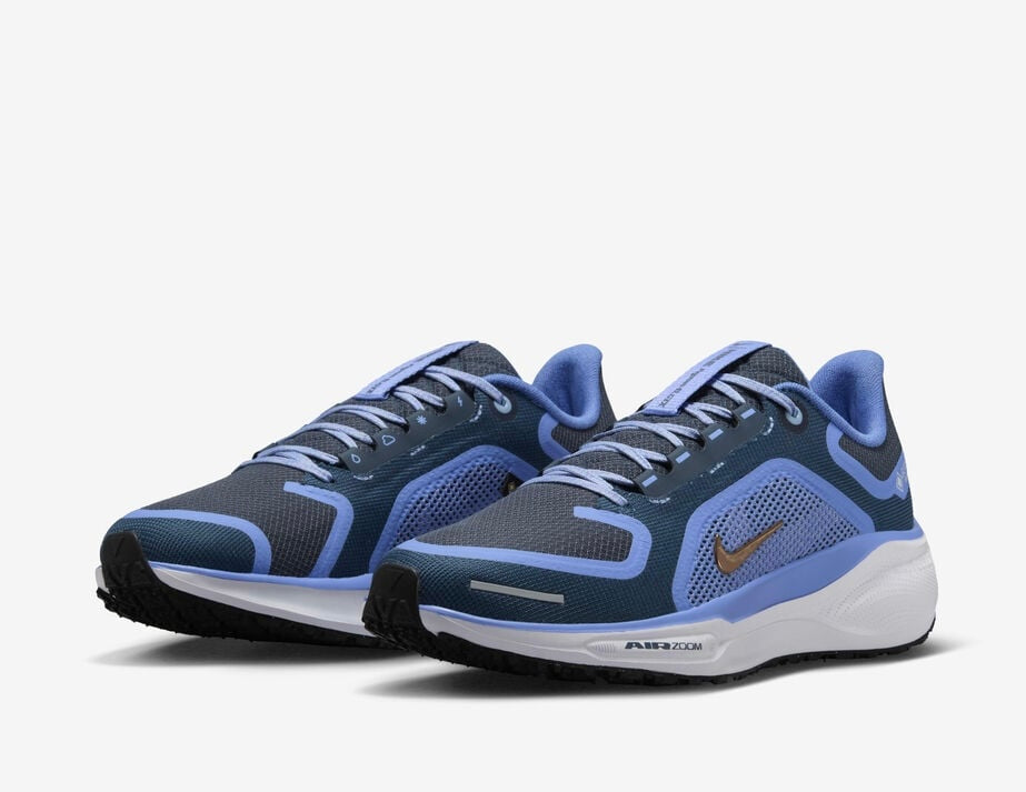 Nike Air Zoom Pegasus 41 GTX
