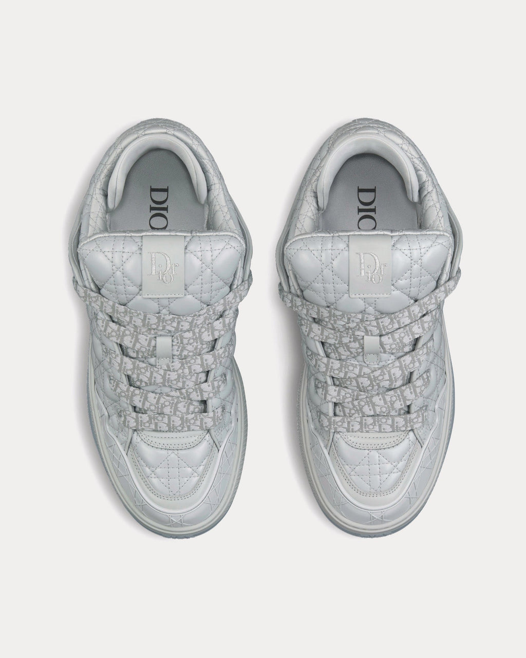 Dior B9S Skater