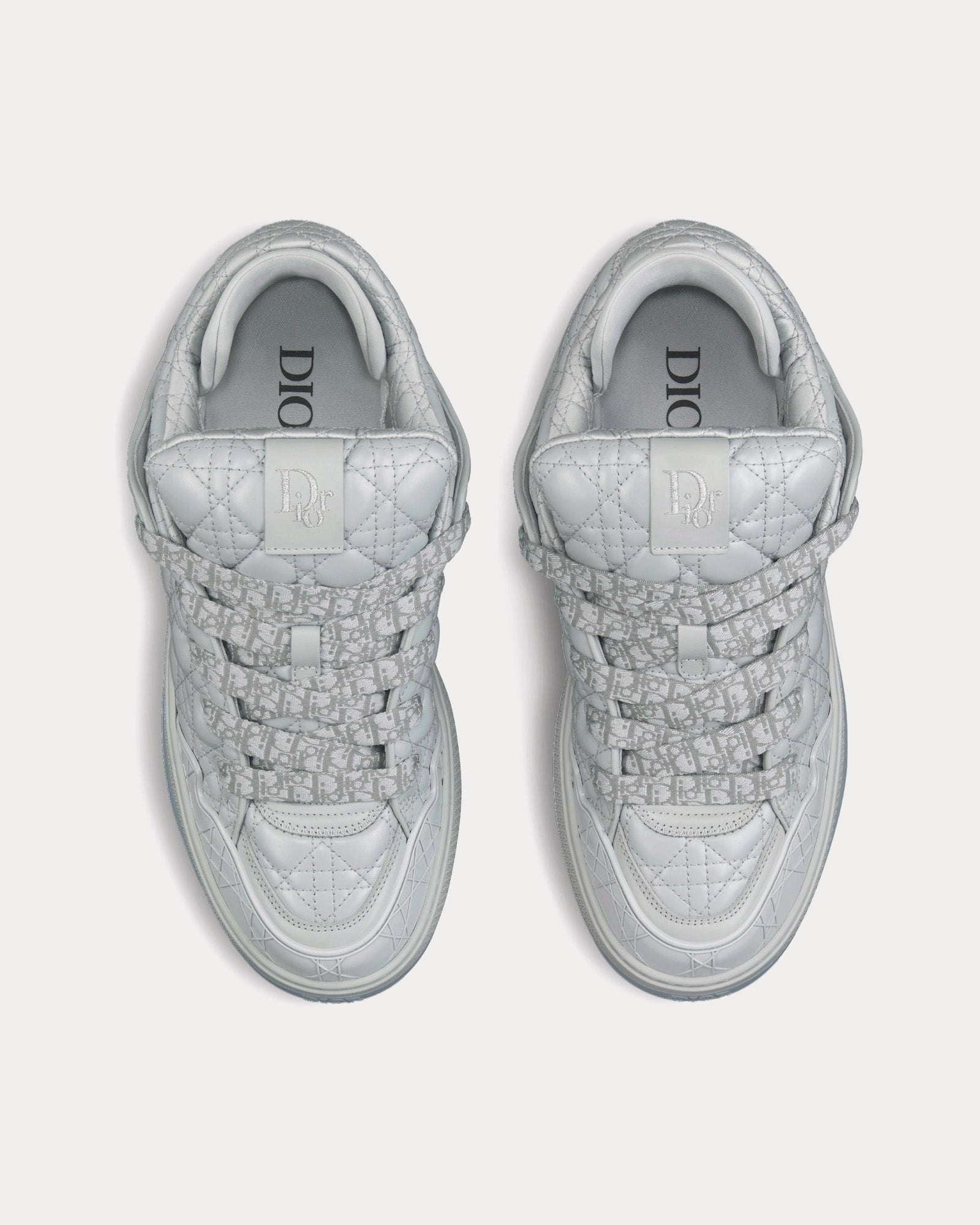 Dior B9S Skater